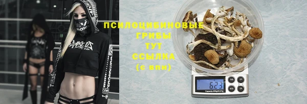 ГАЛЛЮЦИНОГЕННЫЕ ГРИБЫ Лиски