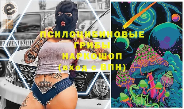молекула духа Лихославль