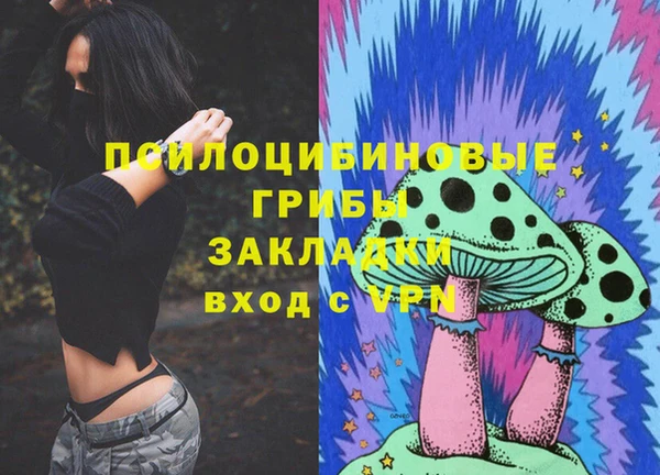 ГАЛЛЮЦИНОГЕННЫЕ ГРИБЫ Лиски